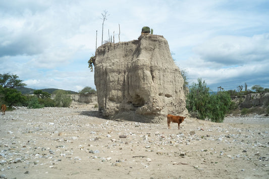 The Cactus Loop: Bikepacking in the Tehuacán-Cuicatlán Biosphere Reserve